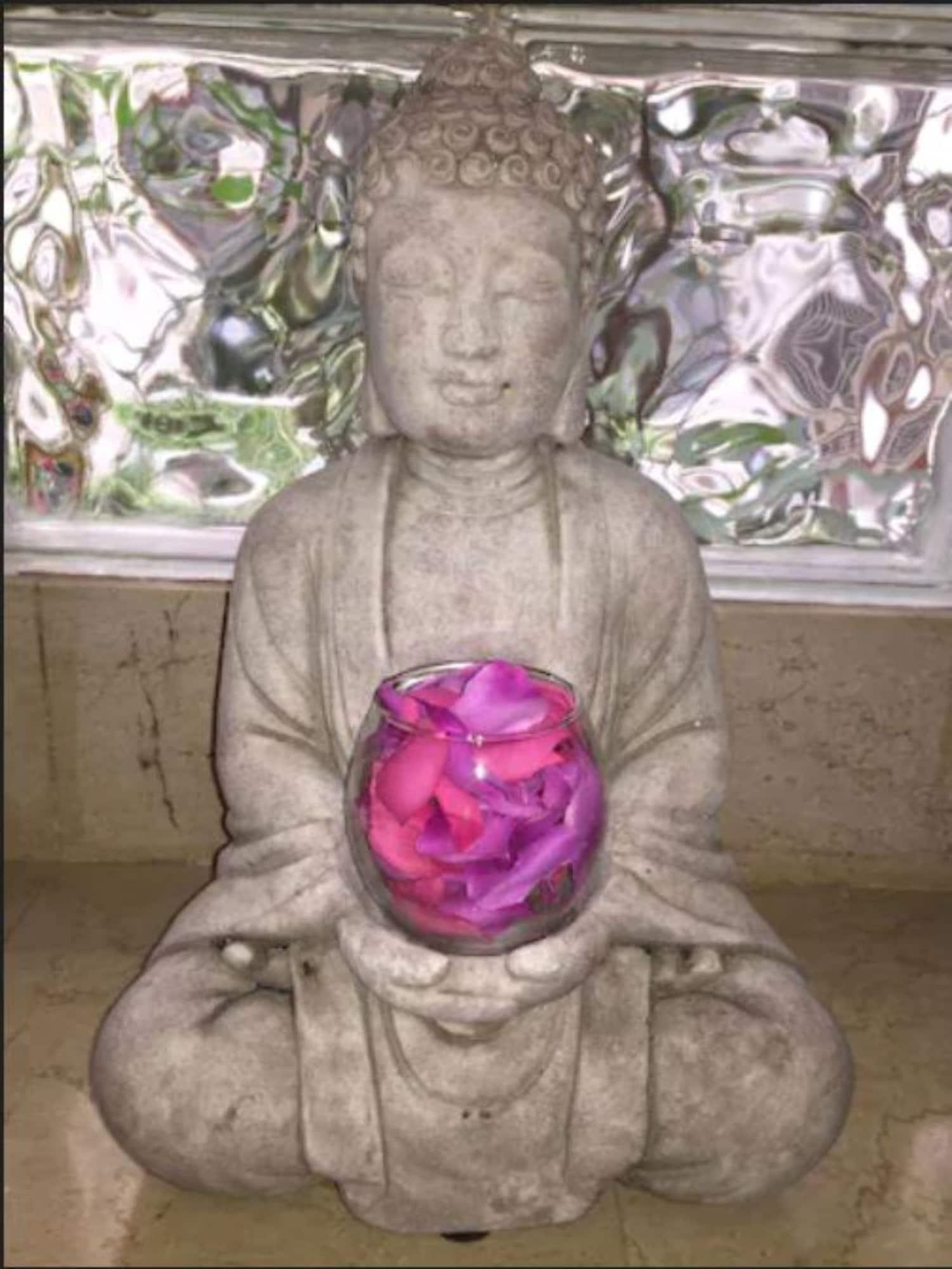 菲斯蒂瓦酒店 戛纳 外观 照片